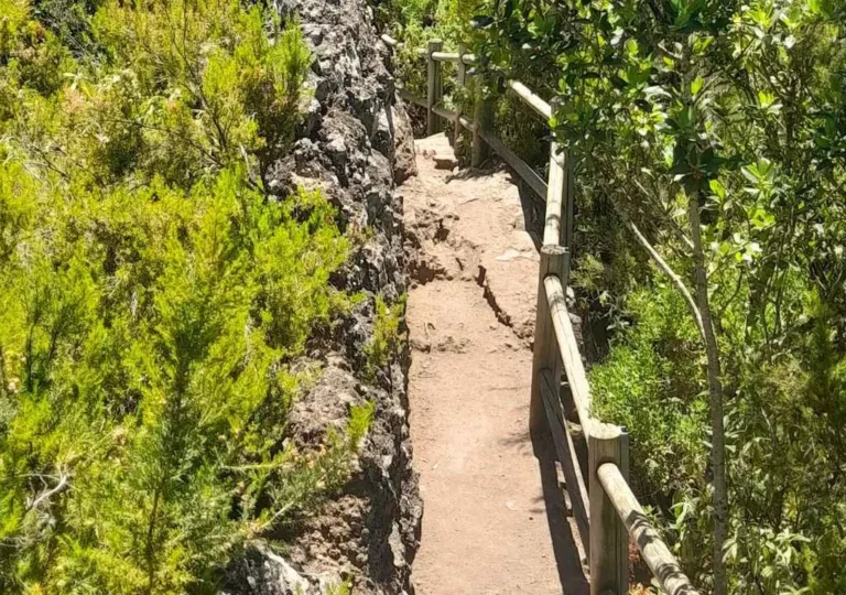 sendero para acceder al mirador de espigon atravesado en el medio del bosque