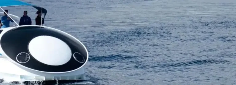 hidrodeslizador excursion para ver delfines a la palma