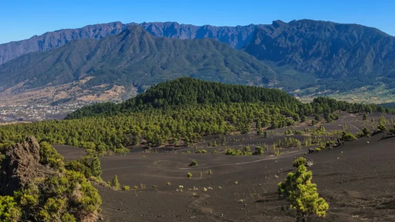 mirado astronomico al Paso La Palma