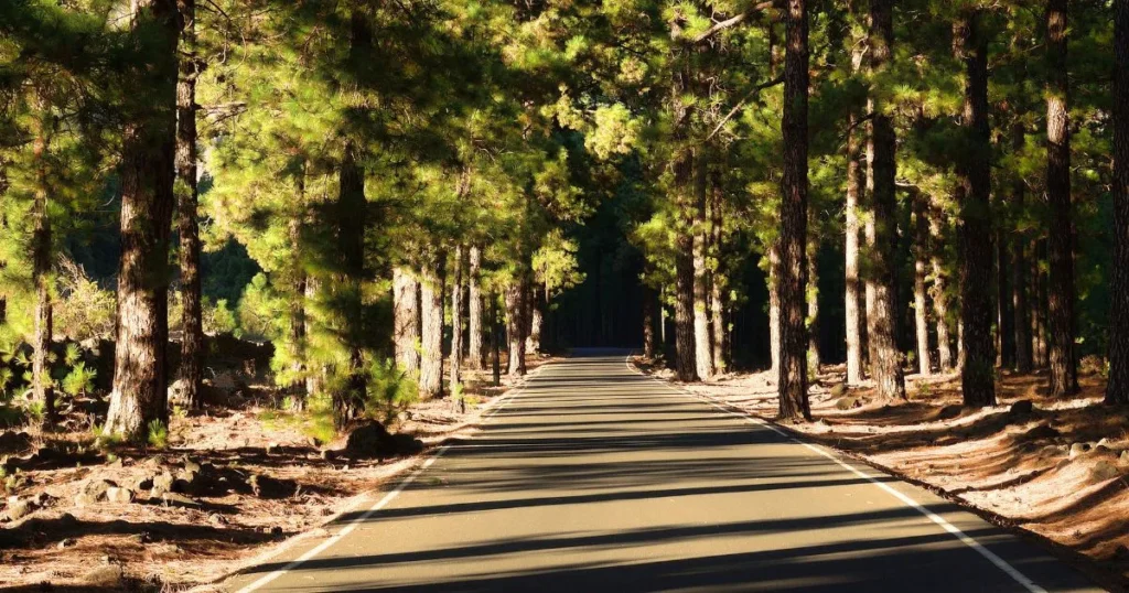 pilar carretera excursion en bici