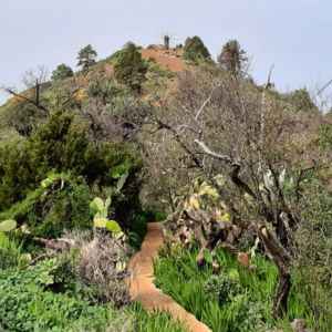 ruta de buracas en garafia la palma