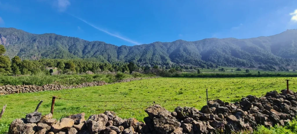 panorama bucolico de el paso la palma