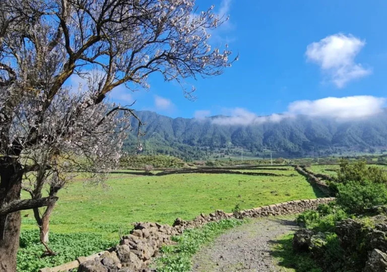 llano de las cuevas.