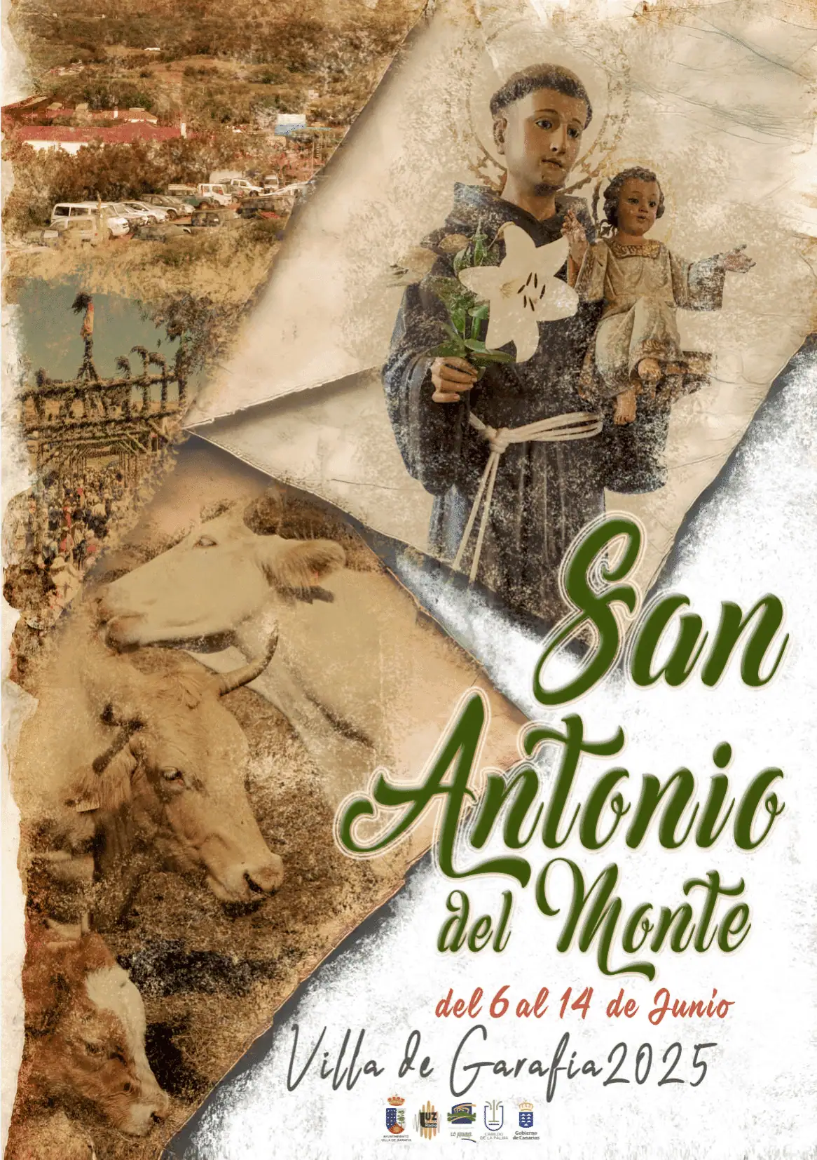 San Antonio del Monte Programa 2025 / 6 de junio de 2025 / La Palma