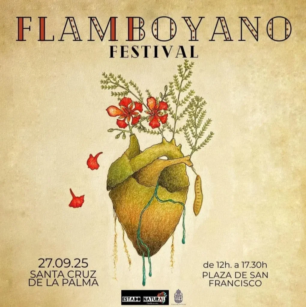 festival flamboyano a santa cruz de la palma 2025