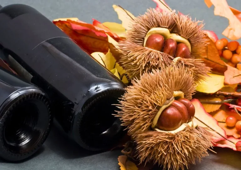 fiestas de san martin a la palma